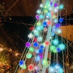 クオーレ ヴェルデ - 