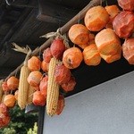 おっきりこみのふる里 - 