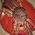 新日本料理おぶね - 