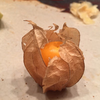 西麻布 拓 - 