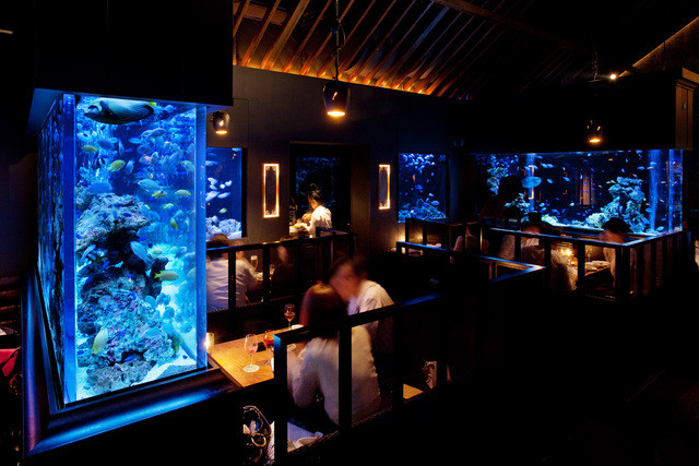 The Photo Of Interior Lime Tabelog The Photo Of Interior Lime Tabelog