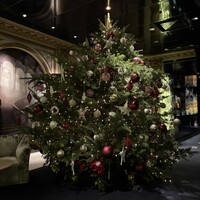 トゥールダルジャン 東京 - 