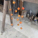 TOGO BOOKS nomadik - 