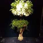 トゥールダルジャン - 