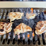 トリユウ - 若鳥