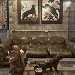 マーメイドコーヒーロースターズ - 