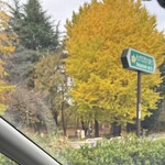 手打ち蕎麦 眞壁 - 