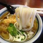 手打うどん てぼ - ワンコインランチ　500円