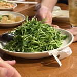 刀削麺・火鍋・西安料理 XI'AN - 