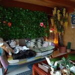 南国風 古民家カフェ 恋するしっぽ。 - 