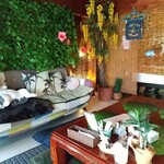 南国風 古民家カフェ 恋するしっぽ。 - 