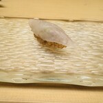 髙橋 謙太郎 - カワハギ