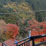 玉川屋 - 紅葉