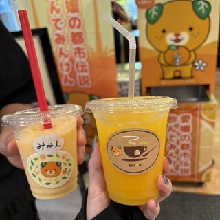 石鎚山サービスエリア(上り線)ショッピングコーナー_1