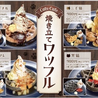 キャッツカフェ_0