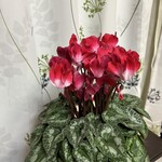 農産物直売所 みずほの村市場 - 