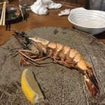 縁炭場〜ONOGAMI〜 - 