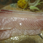 桜田 - 寒ぶりアップ