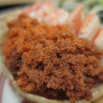 桜田 - 外子アップ