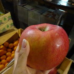 メゾン・ド・スリジェ - 