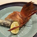 赤坂 渡なべ - 釧路のキンキ