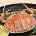赤坂 渡なべ - 香箱ガニ
