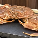 赤坂 渡なべ - 松葉ガニ