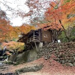 月待の滝 もみじ苑 - 沢から見たもみじ苑