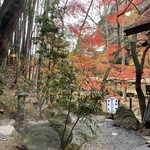 月待の滝 もみじ苑 - 店内からの眺め