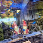 AQUA Table - 内観：水槽（アクアシート）