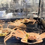 きはちらくはち - 