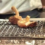 こだわりもん一家 - 