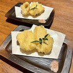 博多 なぎの木 - 