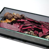 ブレストンコート ユカワタン - 