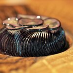 レストラン ナズ - 