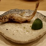 鮨 やすみつ - 厚岸 本ししゃも 雄