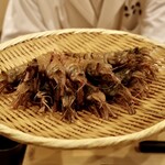 鮨 やすみつ - ガス海老