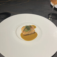 International cuisine subzero - 