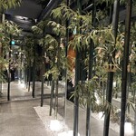 知喜多亭 和 - 入ってすぐの竹エリア
