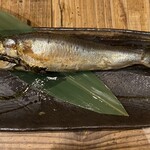 吉田町食堂 きんぎょ - 
