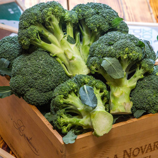 ブロッ&コリー_0