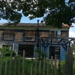 アップルミント - 