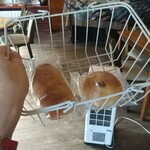 アップルミント - 