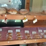 アップルミント - 柳井市古開作「アップルミント」