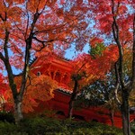 MITAKI PAIN - 三滝寺の多宝塔