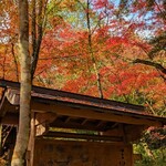 MITAKI PAIN - 三瀧寺の紅葉