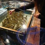 ざうお - 自分で釣れます♪