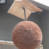 伊勢鮨 - 