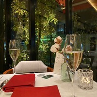 LAZOR GARDEN DINING - 