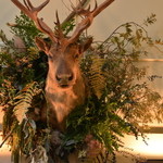 フリーマンズスポーティングクラブ レストラン